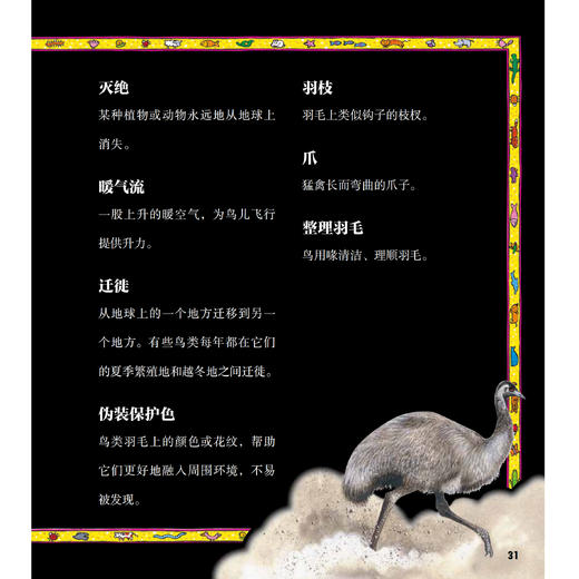 《太酷啦！动物的秘密如此多》（全12册） 商品图8