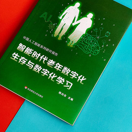 中国人工智能系列研究报告 智能时代老年数字化生存与数字化学习 商品图3