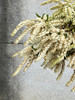 山里白草花一扎 商品缩略图5
