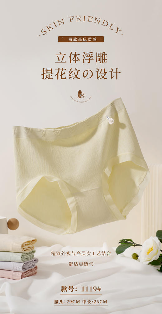 女士品质无缝内裤养眼温柔高弹舒适三角裤1119 商品图9