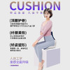 【出口欧美日本】思菲其思菲矫姿坐垫，第2代和第四代，一秒防驼背，久坐不累 商品缩略图1