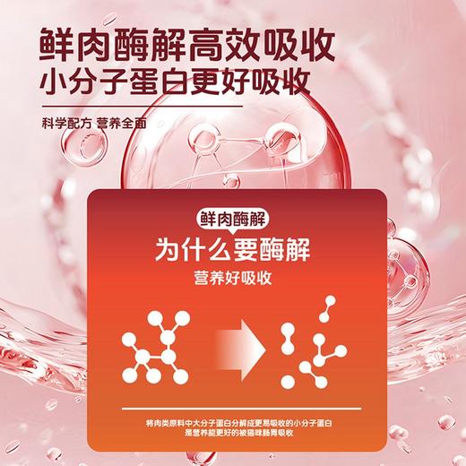 【配方升级】麦斯蒂全价猫粮10kg鸡肉配方 通用型添加鱼油 猫舍适用 日期新 工厂直售 商品图6