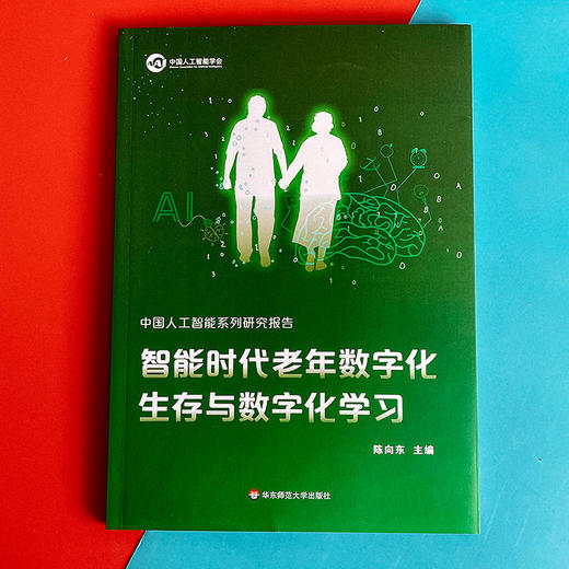 中国人工智能系列研究报告 智能时代老年数字化生存与数字化学习 商品图1