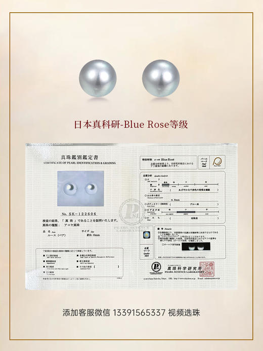 【挚友限定】  日本真科研Blue Rose等级裸珠对珠（9-9.5mm） 商品图0
