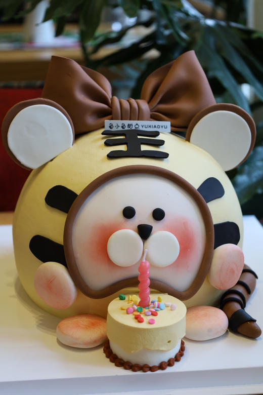 虎宝宝过生日 商品图3