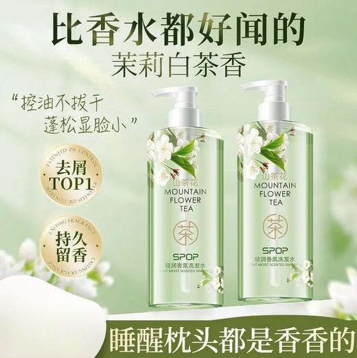 【1瓶开启 香氛疗愈之旅】SPOP山茶花轻润香氛洗发水去屑控油蓬松滋润温和持久留香沐浴露，轻润控油，蓬松秀发，水润去屑，净澈头皮。ry 商品图0