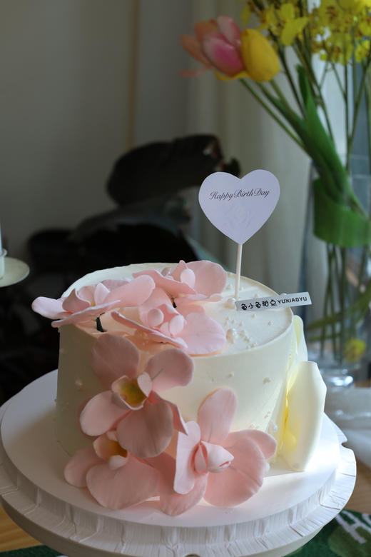 粉色蝴蝶兰 商品图10