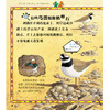 《太酷啦！动物的秘密如此多》（全12册） 商品缩略图11