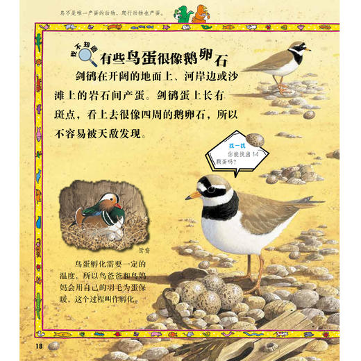《太酷啦！动物的秘密如此多》（全12册） 商品图11
