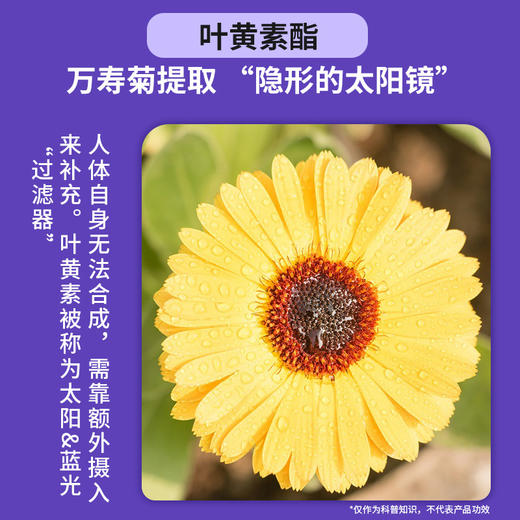 【儿康堂育儿】英贝健DHA蓝莓叶黄素酯软糖4瓶 商品图2