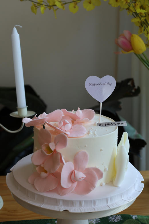 粉色蝴蝶兰 商品图7