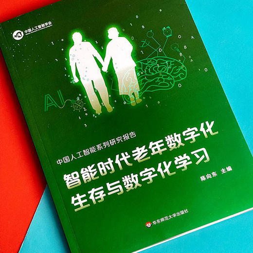 中国人工智能系列研究报告 智能时代老年数字化生存与数字化学习 商品图4