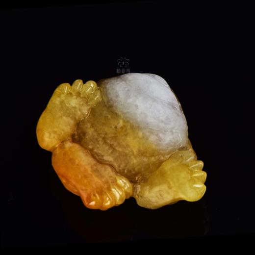 【金蟾】翡翠金蟾把玩-BW2403070 商品图4