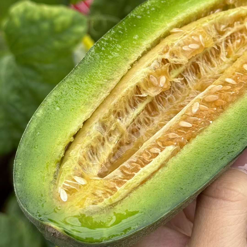 博洋酥7甜瓜顺丰/京东快递包邮下单从山东发货