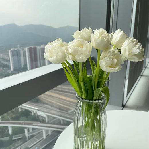 奶油色郁金香鲜切花9支 商品图0