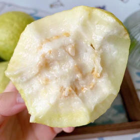 【芭乐】又名番石榴，属于后熟型水果，果肉微软可食，肉质糯甜，籽可食！