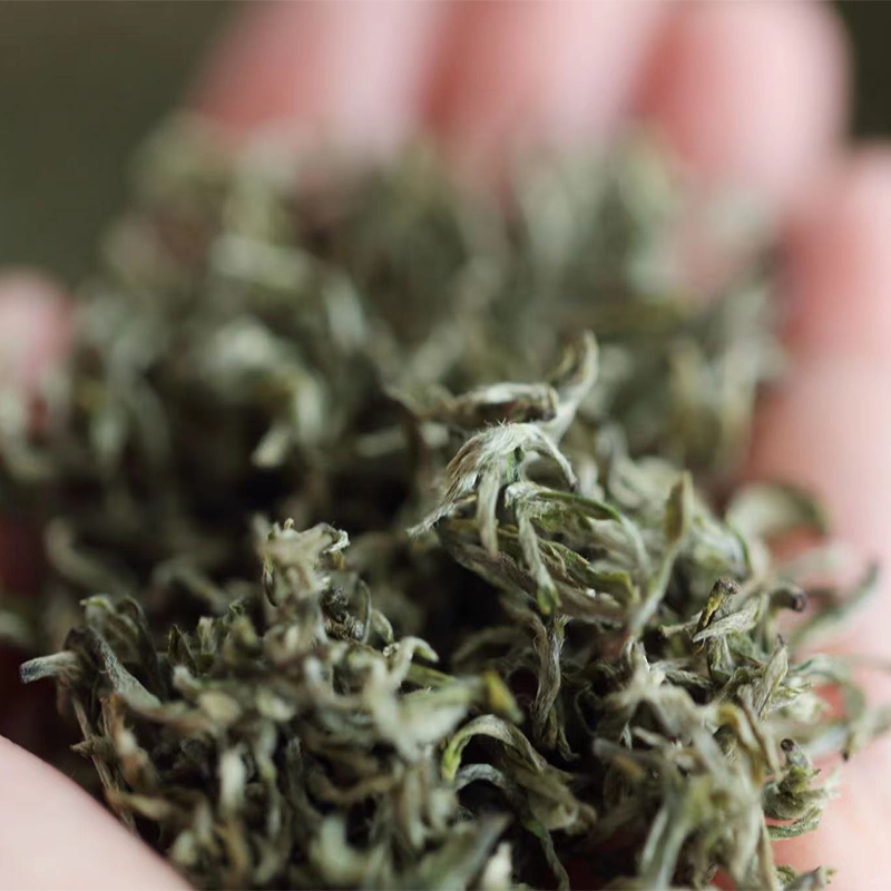 【2026年春茶-手工蒙顶甘露！一茶难求！魏久淞亲制】毛伟人同款 五代非遗传承 手工炭烘温性绿茶 温而阻疾