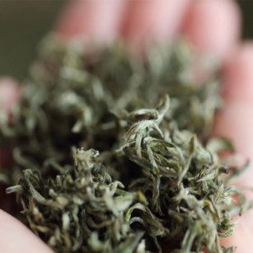 【2026年春茶-手工蒙顶甘露！一茶难求！魏久淞亲制】毛伟人同款 五代非遗传承 手工炭烘温性绿茶 温而阻疾