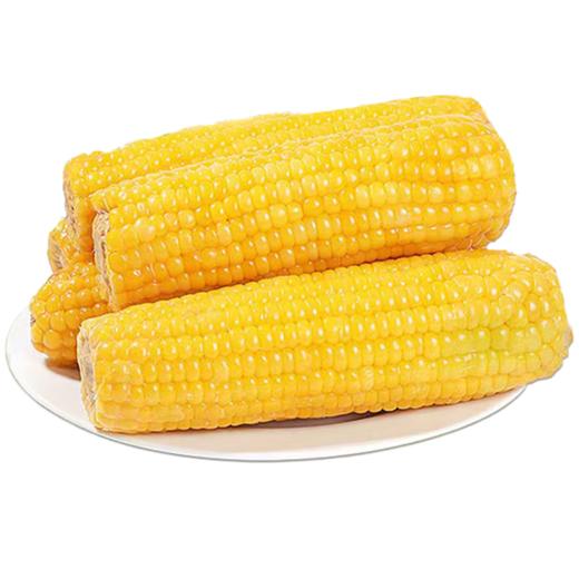 自营（月亮湾）-东北黄糯玉米 商品图5