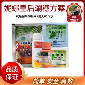 妮娜皇后葡萄涮穗方案