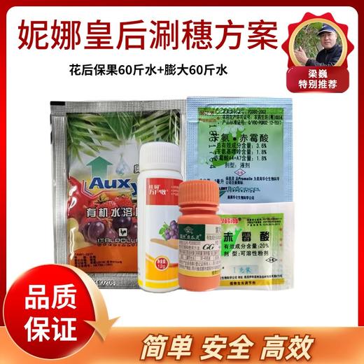 妮娜皇后葡萄涮穗方案 商品图0