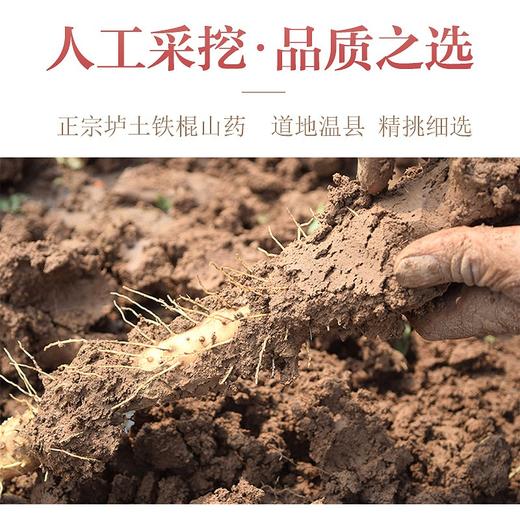 怀生堂铁棍怀山药片200g/罐【国sir严选】 商品图4