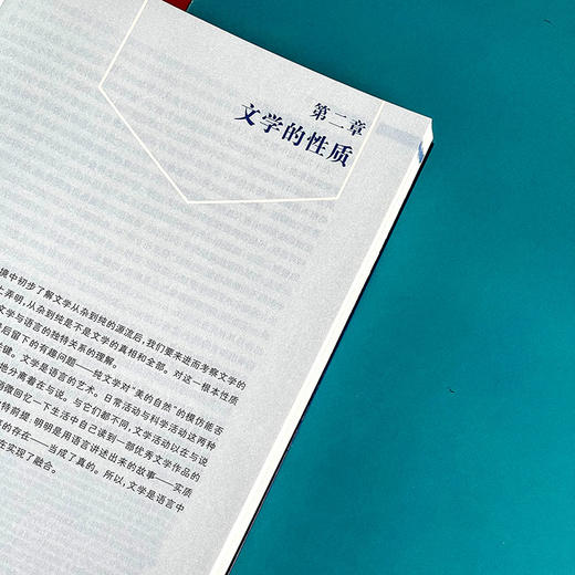 文学理论初阶 文学理论教科书 文学基本问题 刘阳 商品图10