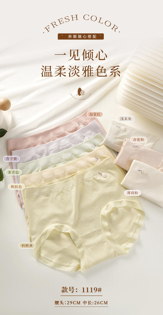 女士品质无缝内裤养眼温柔高弹舒适三角裤1119 商品图8