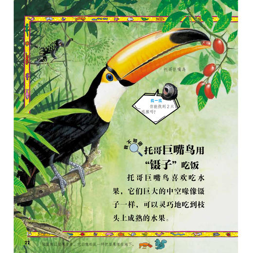 《太酷啦！动物的秘密如此多》（全12册） 商品图5