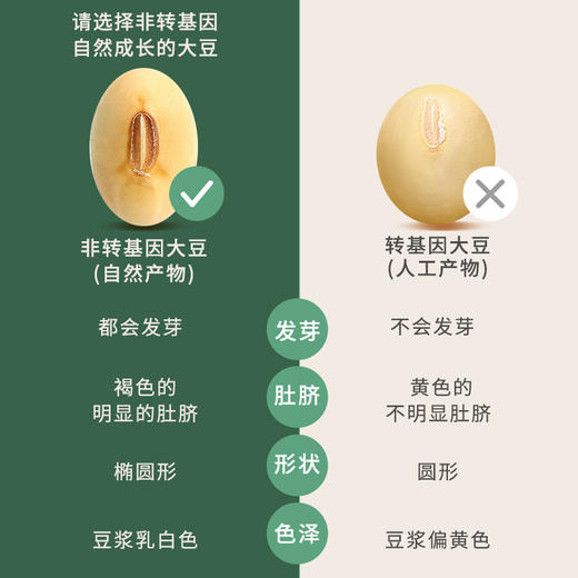 豆叔黄豆浆粉0添加蔗糖40%高蛋白纯大豆早餐代餐 商品图6