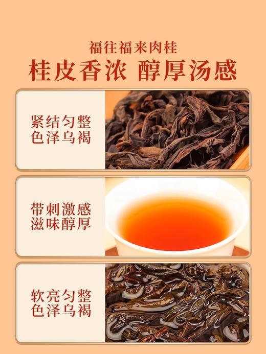 岩语 福往福来试饮集 肉桂水仙大红袍特级武夷岩茶乌龙茶25.5g 商品图2