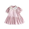 女童连衣裙2024夏季新款宝宝刺绣翻领裙子夏装娃娃短袖领公主裙夏 商品缩略图4