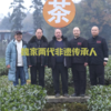 【2026年春茶-手工蒙顶甘露！一茶难求！魏久淞亲制】毛伟人同款 五代非遗传承 手工炭烘温性绿茶 温而阻疾 商品缩略图12