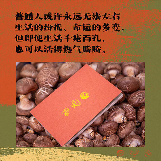 在菜场，在人间（生活千疮百孔，但菜市场永远热气腾腾） 商品图7