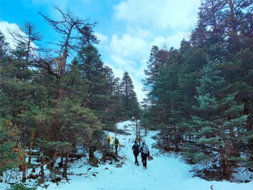 虎跳峡高路+玉龙雪山秘境丨4天3晚丨徒步之旅 每月双号集合 商品图1