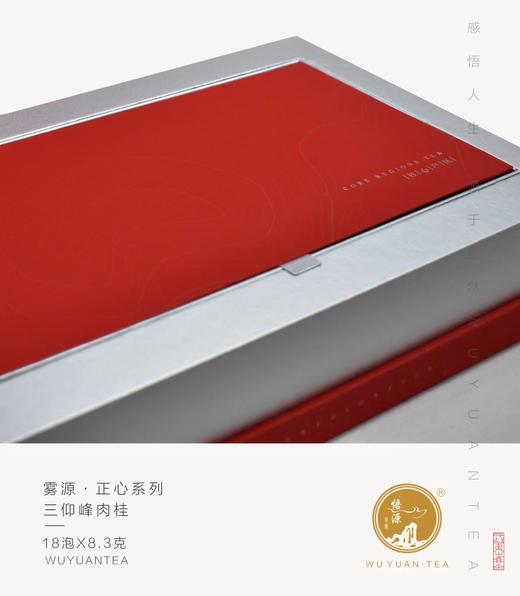 自营（雾源）-海云端董事长的茶 正心系列 武夷茶 三仰峰.肉桂150g 商品图5