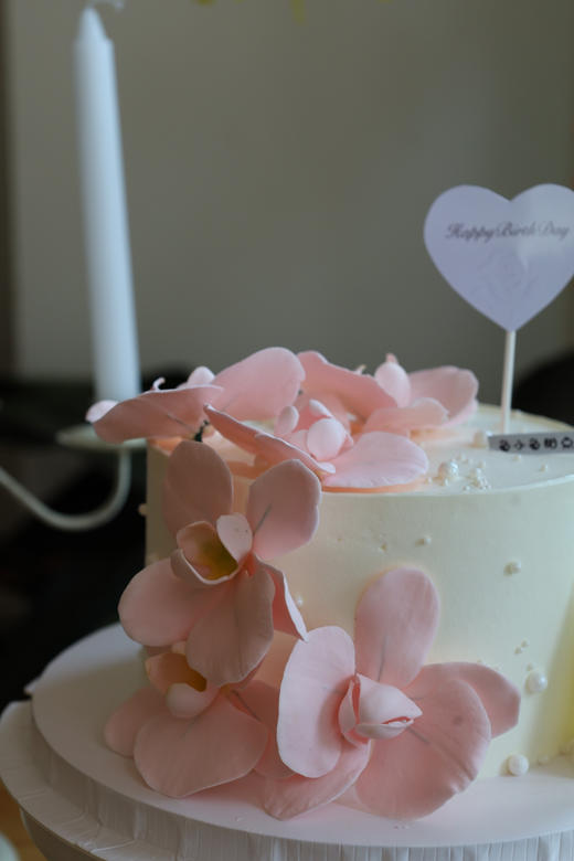 粉色蝴蝶兰 商品图8