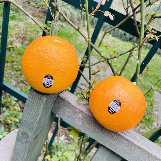 推荐一款橙子，加州3107甜橙，备受阳光宠爱的橙子，光滑又漂亮，肉质厚糯，细腻多汁，黄金甜度，芬芳水润～ 商品图4