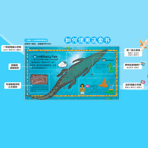《太酷啦！动物的秘密如此多》（全12册） 商品图4