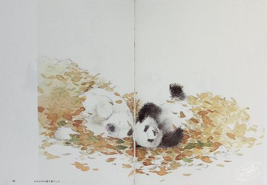 【中商原版】熊猫、偶尔是白熊 中村爱水彩绘画教程 日本画师 日文艺术原版 パンダ、ときどきしろくま 商品图4