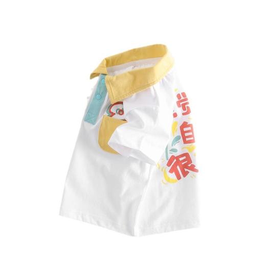 男童polo衫夏季薄款宝宝短袖上衣小童韩版套头衫夏装半袖儿童衬衫 商品图4