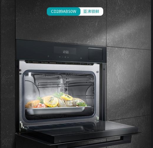 西门子CD289ABSOW蒸箱 商品图0