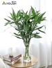 【绿植现货】10枝A级富贵竹19.9（现货，下单即可到店自提） 商品缩略图1