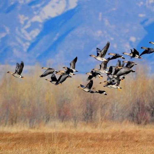 【春季特惠房券】 未约可退 | 亲子玩水！Club Med Joyview 北京延庆度假村 商品图1