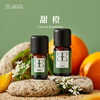 甜橙精油10ml （限用日期2025/1/18） 商品缩略图0