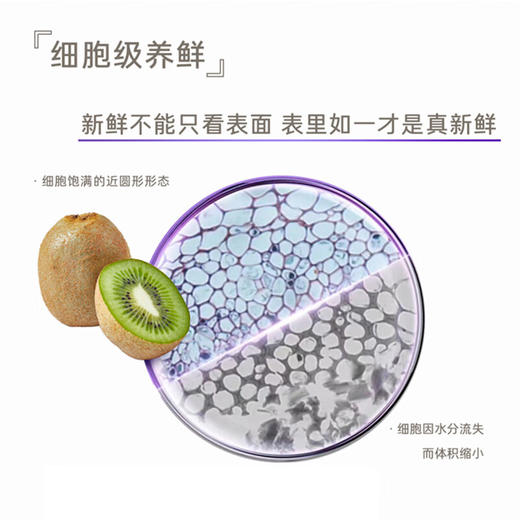 卡萨帝640升大容量对开门双开门家用零距离自由嵌入式冰箱 BCD-640WGCSSM7SSU1 商品图3