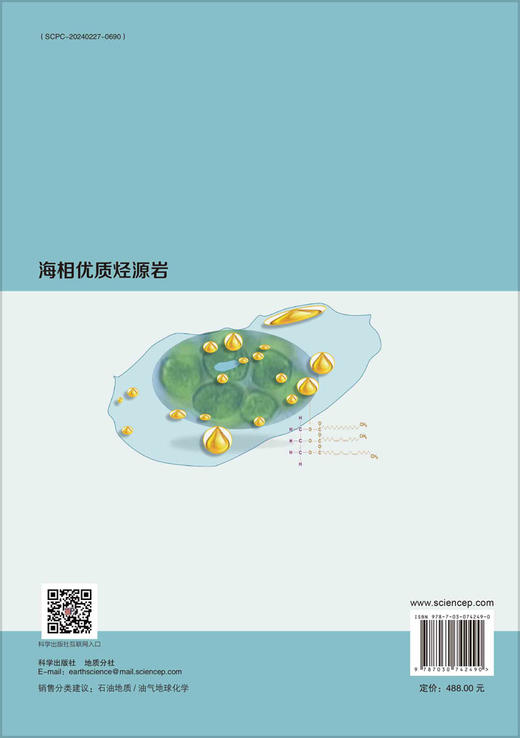 海相优质烃源岩 商品图1