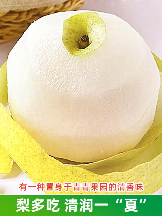 【安徽·砀山】皇冠梨 新鲜当季孕妇水果翠冠梨雪梨水晶梨 9斤整箱包邮 商品图2