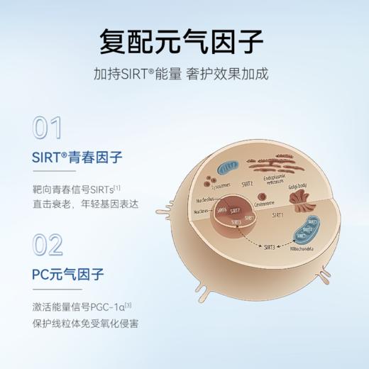 【香港直邮】若返 元气因NPC 60粒/瓶 商品图2