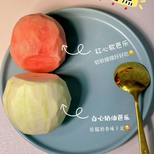 【芭乐】又名番石榴，属于后熟型水果，果肉微软可食，肉质糯甜，籽可食！ 商品图12